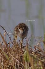 20120428_013.jpg