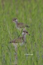 20120428_056.jpg
