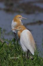 20120428_113.jpg