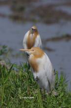 20120428_127.jpg