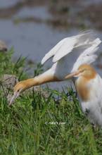 20120428_135.jpg