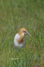 20120428_139.jpg