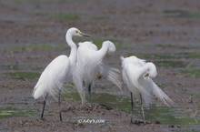 20120428_146.jpg