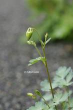 20120502_011.jpg