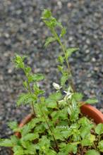 20120502_017.jpg