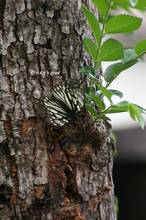 20120502_018.jpg