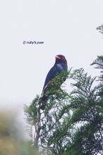 20120504_052.jpg
