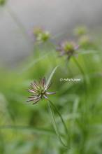 20120508_014.jpg