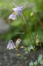 20120508_036.jpg