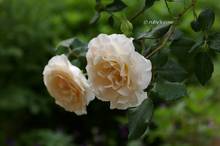 20120508_040.jpg