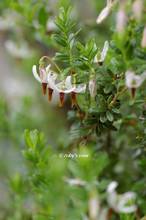 20120514_005.jpg