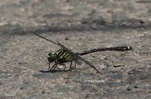 20120518_034.jpg