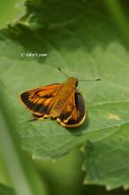 20120519_093.jpg