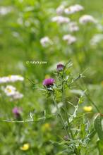20120519_097.jpg