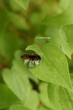 20120524_003.jpg