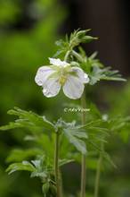 20120525_023.jpg