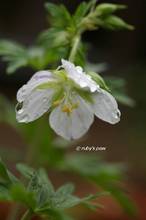 20120525_026.jpg