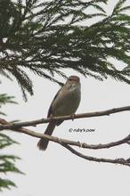 20120526_055.jpg