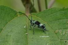 20120526_091.jpg