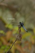 20120526_130.jpg