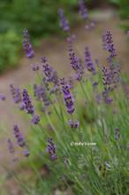 20120530_004.jpg