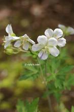 20120531_017.jpg
