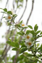20120607_040.jpg