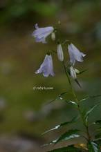 20120612_006.jpg