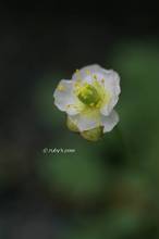 20120618_025.jpg