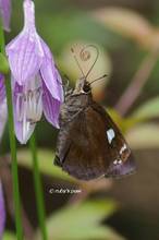 20120703_011.jpg