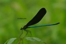 20120704_002.jpg