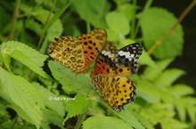 20120704_014.jpg