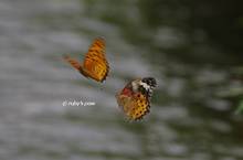 20120704_025.jpg