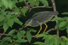 20120704_158.jpg