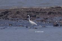 20120707_076.jpg