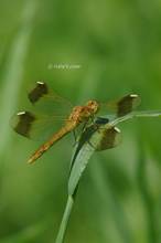 20120708_022.jpg