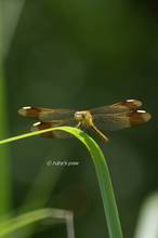 20120708_170.jpg