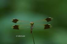 20120729_006.jpg