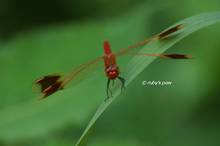 20120729_038.jpg