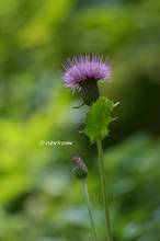 20120729_045.jpg
