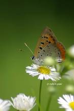 20120729_050.jpg