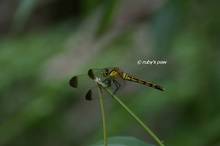 20120729_059.jpg