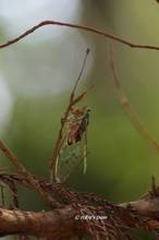 20120729_072.jpg