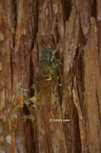 20120729_075.jpg