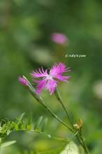 20120729_105.jpg