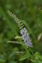 20120729_117.jpg