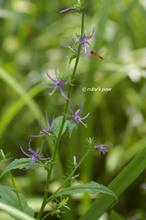 20120729_127.jpg