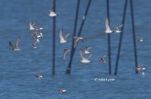 20120804_072.jpg