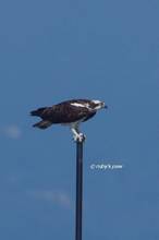 20120804_104.jpg