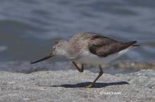 20120804_216.jpg